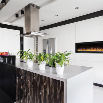 Electric Fireplace