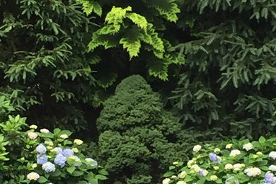 Design ideas for a mid-sized traditional backyard landscaping in New York.