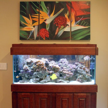 Fish Tank Kitchen