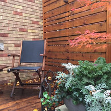 Bayly patio