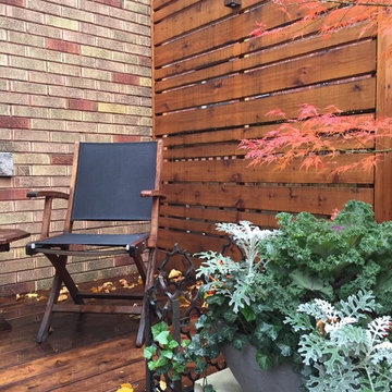 Custom Privacy Screen