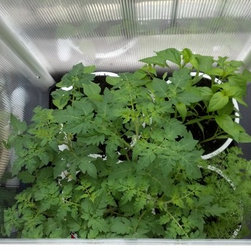 Ponix - P-Pods - Outdoor Pots And Planters