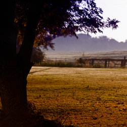 Fine Art Decor_Landscape - Artwork