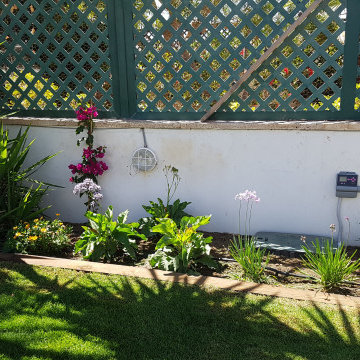 Restauración y plantación