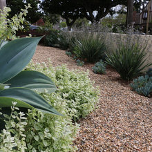 bay area planting