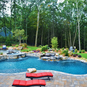 Freeform Pool with Spa Combo 2017