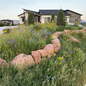 Low Maintenance Xeriscape in Monument