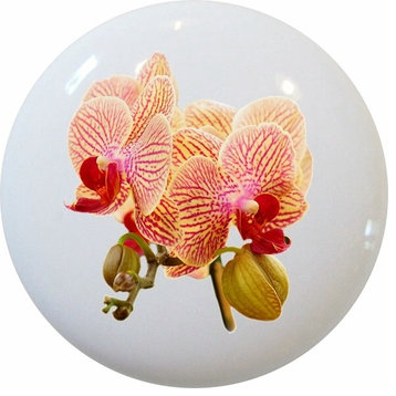 Colorful Orchids Ceramic Cabinet Drawer Knob