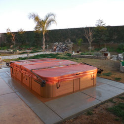 Swim Spas - Products