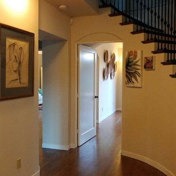 Art Collections - Organizing and Displaying