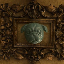 Color Dog