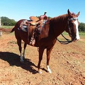 Jan Talley's photo