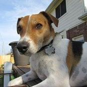 Jennifer Verdehem's photo