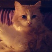 Heidi Crabtree's photo
