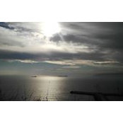 Stela Draganova's photo