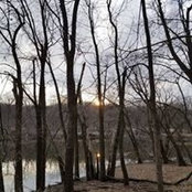 Sandra Lee's photo