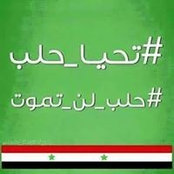 Amro Salama's photo