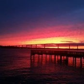 Michelle Pedersen's photo