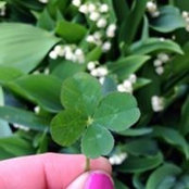 Kim Johnstone's photo