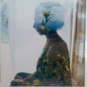 Photo de Susan Knippenberg