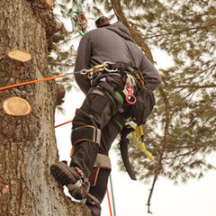 Patton Tree Service