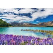 Connie Ringwood's photo