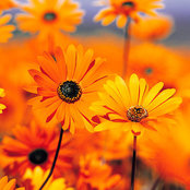 Angie Poulding's photo