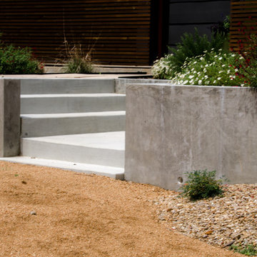 San Tavaros Project