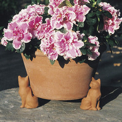Cat Pot Feet - Outdoor Decor