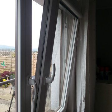 Avante Windows