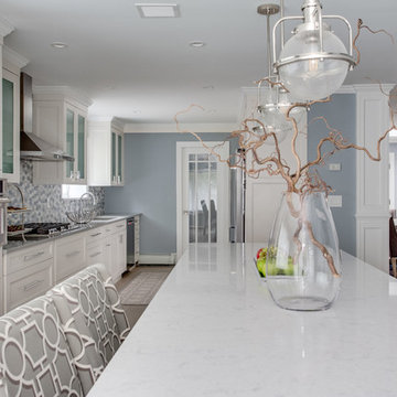Manhasset Hills Project