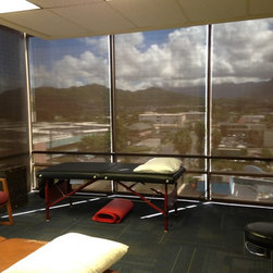 Screen Roller Shades - Products