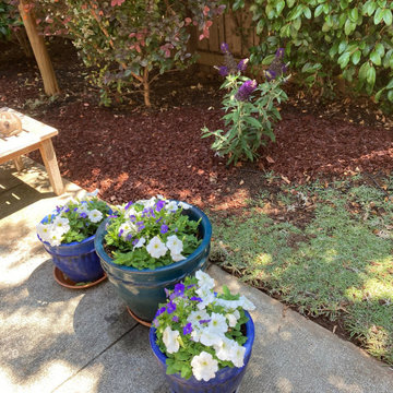 Los Altos | New Small Space Transformed