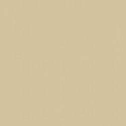 Benjamin Moore Light Khaki 2148-40 - Paint
