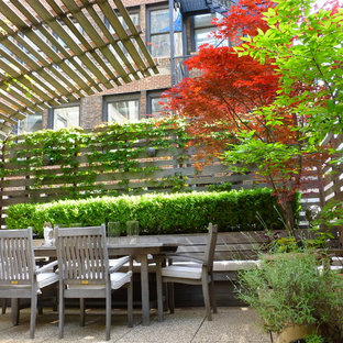 ニューヨークの大きいモダンスタイルのおしゃれな屋上のデッキ (壁面緑化) の写真