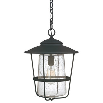 Creekside 1-Light Outdoor Hanging Lantern, Black