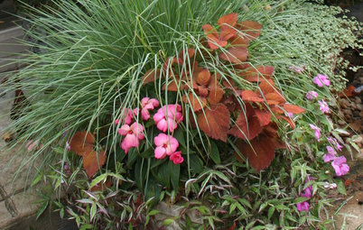 Container Garden Basics: Mix Textures to Catch the Eye