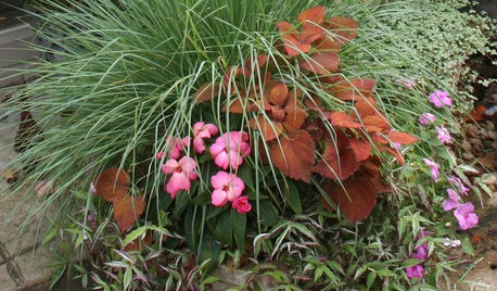 Container Garden Basics: Mix Textures to Catch the Eye