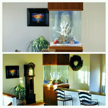 Custom Aquarium Designs