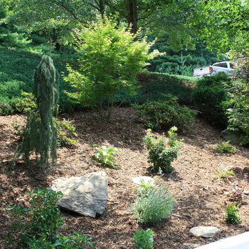 Hillside Gardening