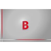 Dilpreet Bains's photo