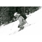 Felipe Marangoni's photo