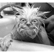 Niel Hoffman's photo