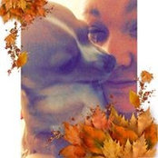 Foto von Ash Elizabeth