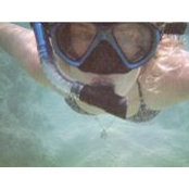 Jennifer McIndoe's photo