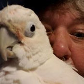 Sharon Greany's photo