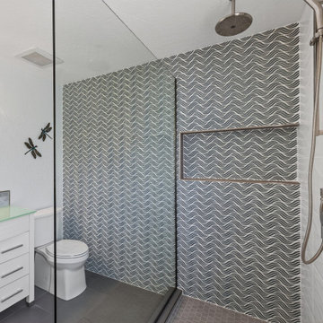 David’s Primary Bathroom Shower Renovation In Ahwatukee