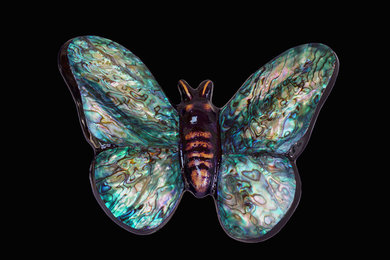 The Butterfly / le Papillon