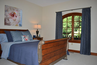 Example of a transitional guest carpeted bedroom design in Other