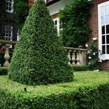 Landscape Ideas